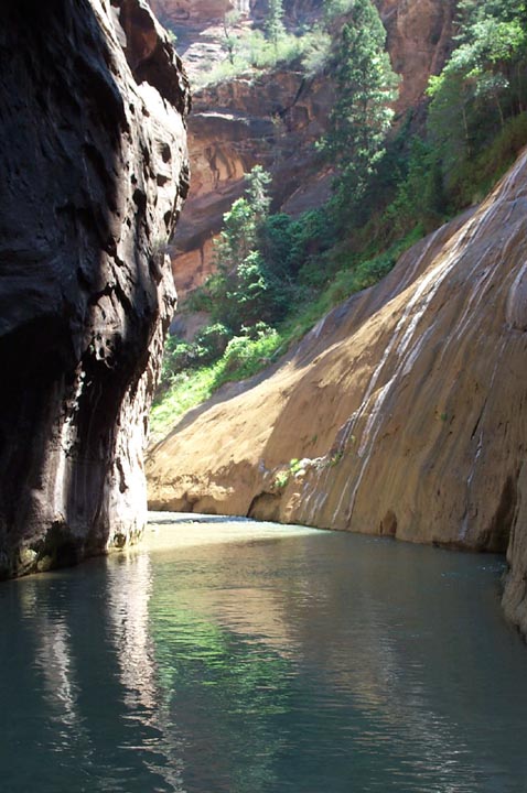 Virgin River, Zion