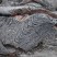 Pahoehoe lava