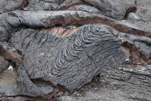 Pahoehoe lava