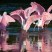 Roseate Spoonbills