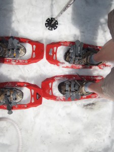 snowshoes