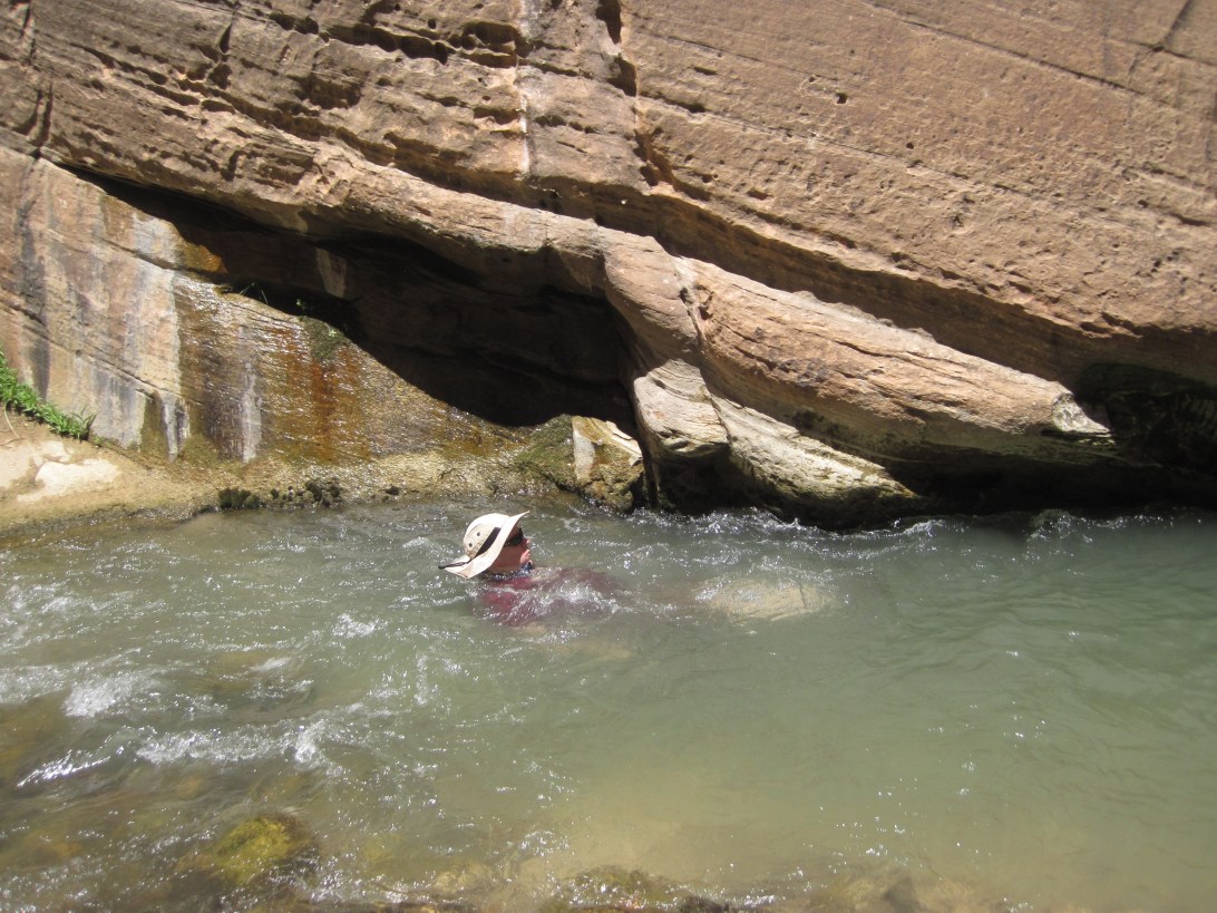 Zion River Narrows