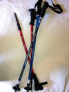 hiking poles