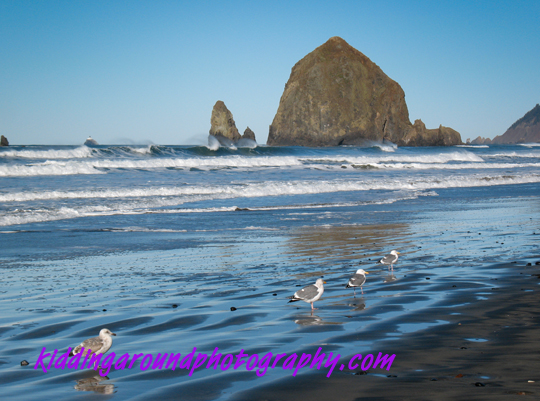 Haystack Rock