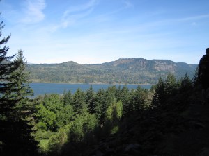 Columbia River view from the forested trail
