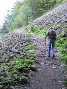 A clearing along the trail