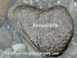 Heart rock found in Redwood National Park