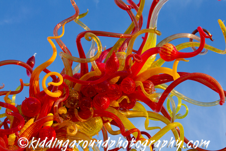 Chihuly Phoenix