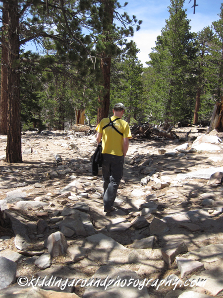 Palm Springs Aerial tram