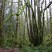 Wildwood Recreation Site
