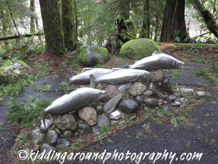 Wildwood Recreation Site