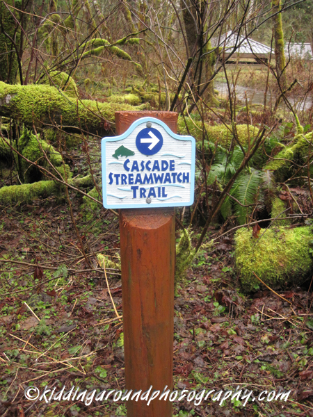 Wildwood Recreation Site