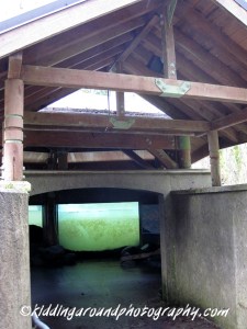 Wildwood Recreation Site