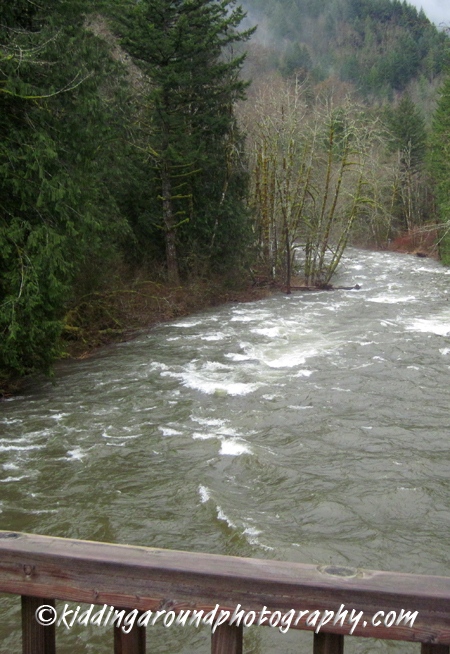 Wildwood Recreation Site