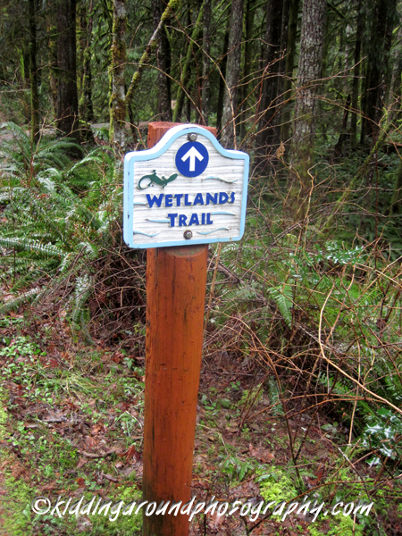 Wildwood Recreation Site