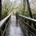 Wildwood Recreation Site