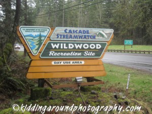 Wildwood Recreation Site