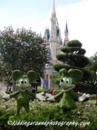 Walt Disney World