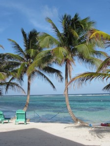 The view from our room at Tranquility Bay, Belize