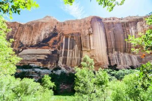 Lower Calf Creek Falls
