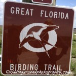 Great Florida Birding Trail