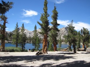 Little Claire Lake in Sequoia's backcountry