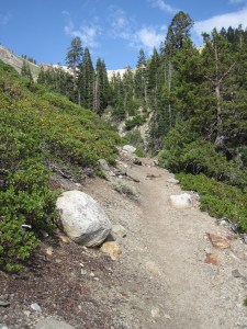 Backpacking Sequoia National Park