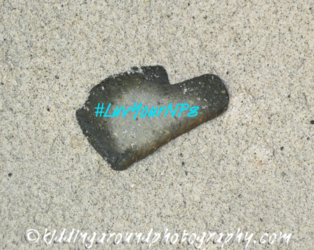 Cinnamon Bay, St. John, USVI