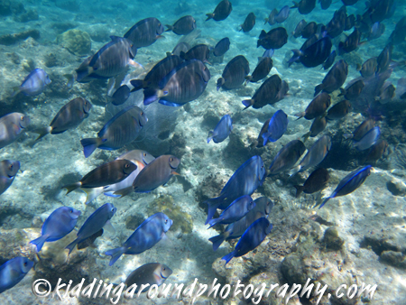 Cinnamon Bay, St. John, USVI