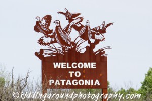 Patagonia