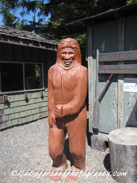 Lost Lake Mt. Hood Oregon