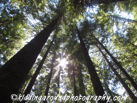 Lost Lake Mt. Hood Oregon