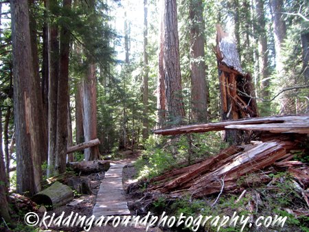 Lost Lake Mt. Hood Oregon