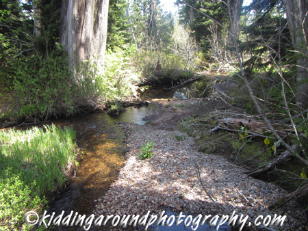 Lost Lake Mt. Hood Oregon