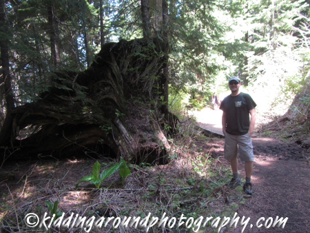Lost Lake Mt. Hood Oregon