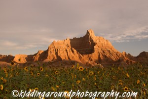 Badlands National Park