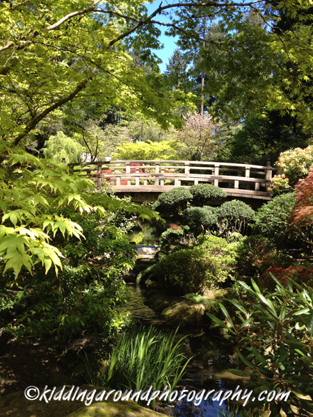 Portland Japanese Garden