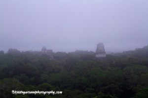 Tikal, Guatemala