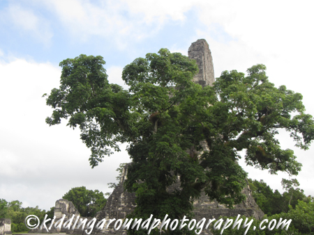 Tikal, Guatemala