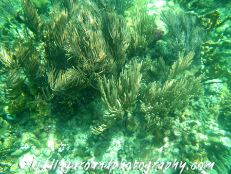 Arawak Expeditions, St. John USVI