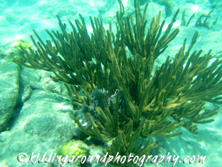 Arawak Expeditions, St. John USVI