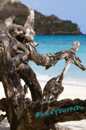 USVI NPS