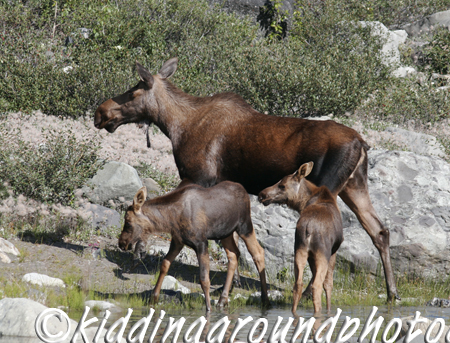 Wrangell St. Elias NP