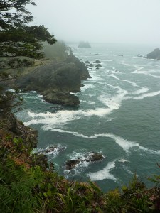 The Olympic Coast