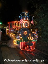 Oregon Zoo Christmas lights
