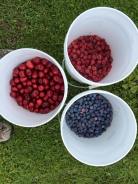 Hood Rvier Fruit Loop