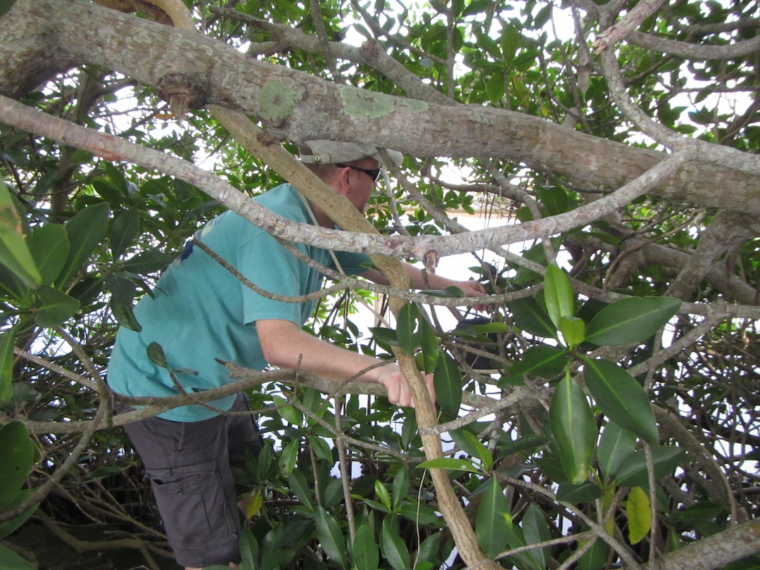 Punta Gorda, Florida