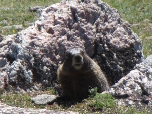 Rocky Mountain National Park
