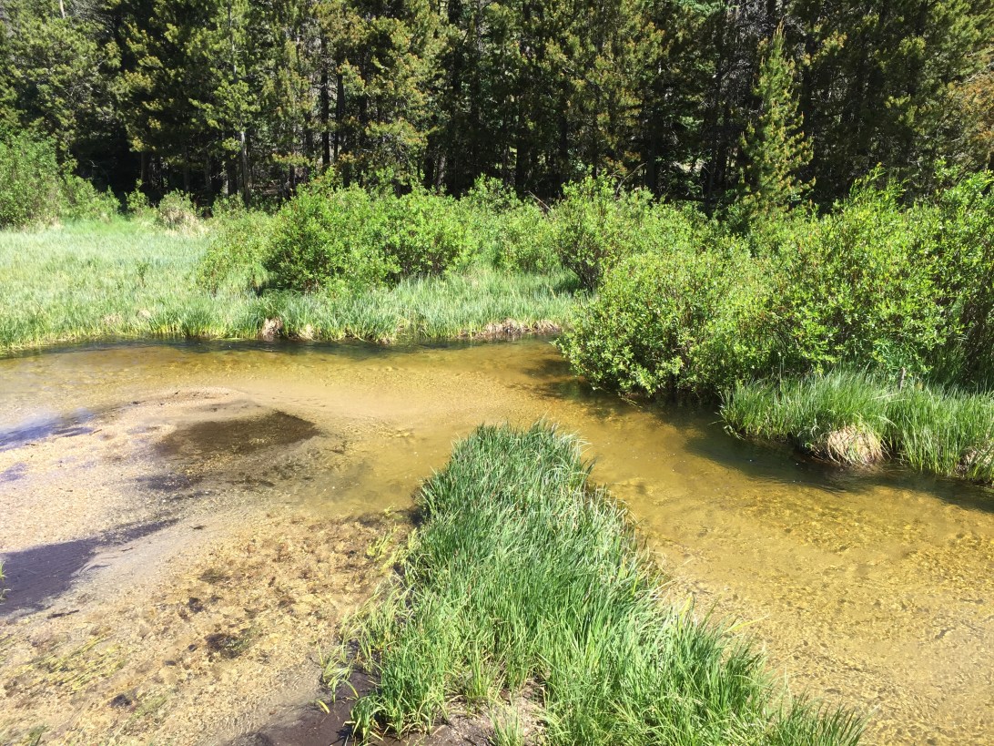 Rocky Mountain National Park