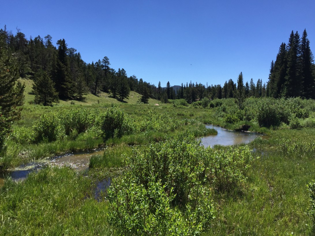 Rocky Mountain National Park